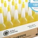양재꽃시장 꽃과나무