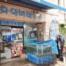 다이버하우스 Daum카페