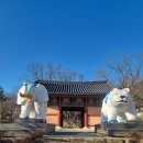 창원 성주사 목조석가여래삼불좌상 | 창원 성주사