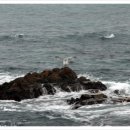 감포우리약국 이미지