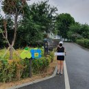 현천행 조정은 두사람이 동행한 송파둘레길 21km 스탬프투어 -2021년8월1일(일) 이미지