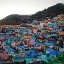 감천목장 이미지