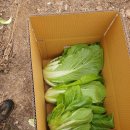 권관농장 이미지