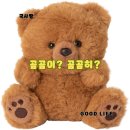 곰곰이 티스토리
