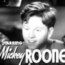 (주)루니미디어 이미지