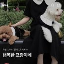 랑스네일