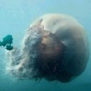 장소미정 이미지