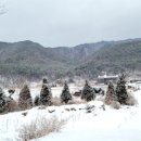 스키클럽엑스 이미지