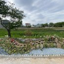 충주 삼방천 충북일보
