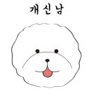 개님살롱 이미지