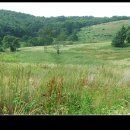 경주목장 이미지