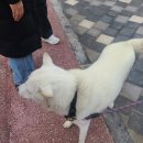 건입동 국민체육센터 앞 이미지