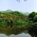 광릉금리원 이미지