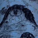 2025년 11월 영양 자작나무숲 _ 자작나무 수피사진 컨테스트 이미지