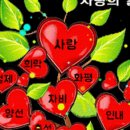 행복나무 이미지