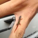 초록도마뱀 이미지