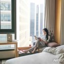 명동스낵 뉴시스