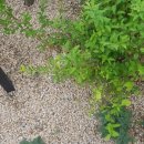 주식회사 엠케이코리아 이미지