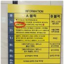 아이파크 애견미용실 | 강서구미용실 준오헤어 강서구청점 베이비펌 후기