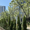 라임그린커피 | 대전 관평동 그린베이커리 추천메뉴 오픈런 후기