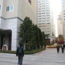 상록수 이미지