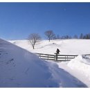 대안목장 이미지