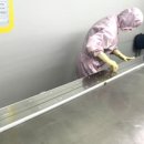 풍원기업 이미지