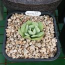 모모카서비스 이미지