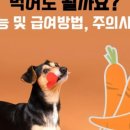 브로콜리 펫푸드 이미지