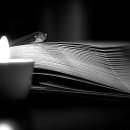 선학파크골프장 이미지