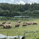 제주집 이응 이미지