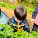 조은어린이집 이미지