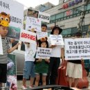 안가마실천 이미지