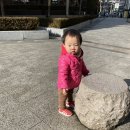 고기싸롱흑석동 | 단골예약) 흑석동 고기싸롱 중앙대점 무한리필 고기 뷔페. 주먹고기 대박!!!