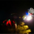 침벽캠핑장 이미지