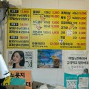 완도17호 | [속초] 1박2일 여행 • 내돈내산 맛집리스트