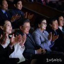 서울효자동 Daum카페