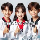STN태권도장 이미지
