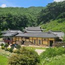 천년숲 | 천년세월 지탱해온 안동의 사찰, "안동 정신문화의 한 축 이뤄"