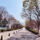 미사경정공원 이미지