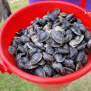 오투펜션 이미지