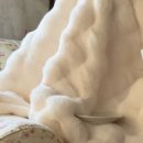 베베데코 이미지