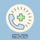 나눔 양한방 동물병원 | 알러지로 인한 장트러블, 양한방 치료 회복 후기 (호두)