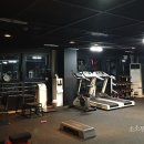영스포렉스 이미지