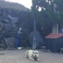 문개항아리펜션 이미지