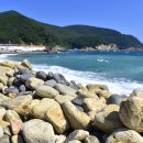 그린라인 이미지