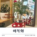 이목화 | [울산 구영리 꽃집] 크리스마스 감성 가득한 '이목화' 이전오픈 내돈내산 방문기