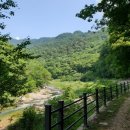 2026년 10월28일(수)가을이 절정일 때만 만날 수 있는 곳… 은행나무가 만든 황금빛 길 이미지