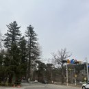 오금 스테이