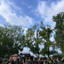 인스타GYM 이미지